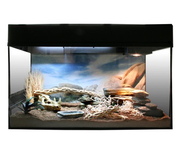 Lucky Reptile Starter Kit Komplettset