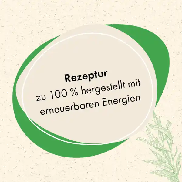 Spülmittel Grapefruit Eukalyptus
