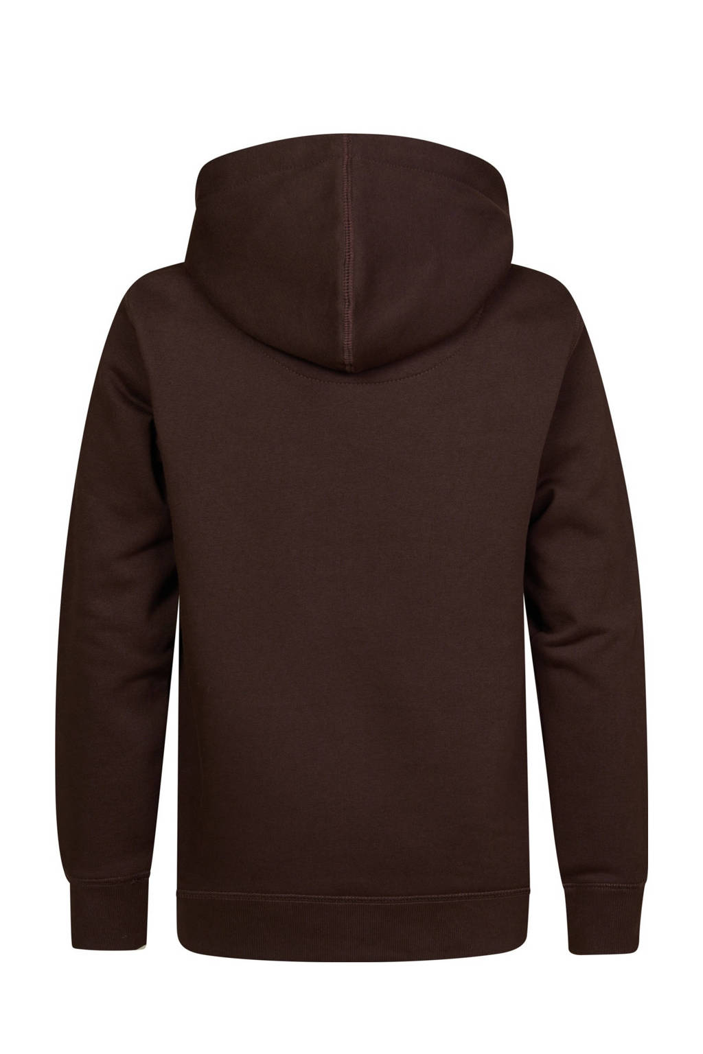 Petrol Industries hoodie bruin