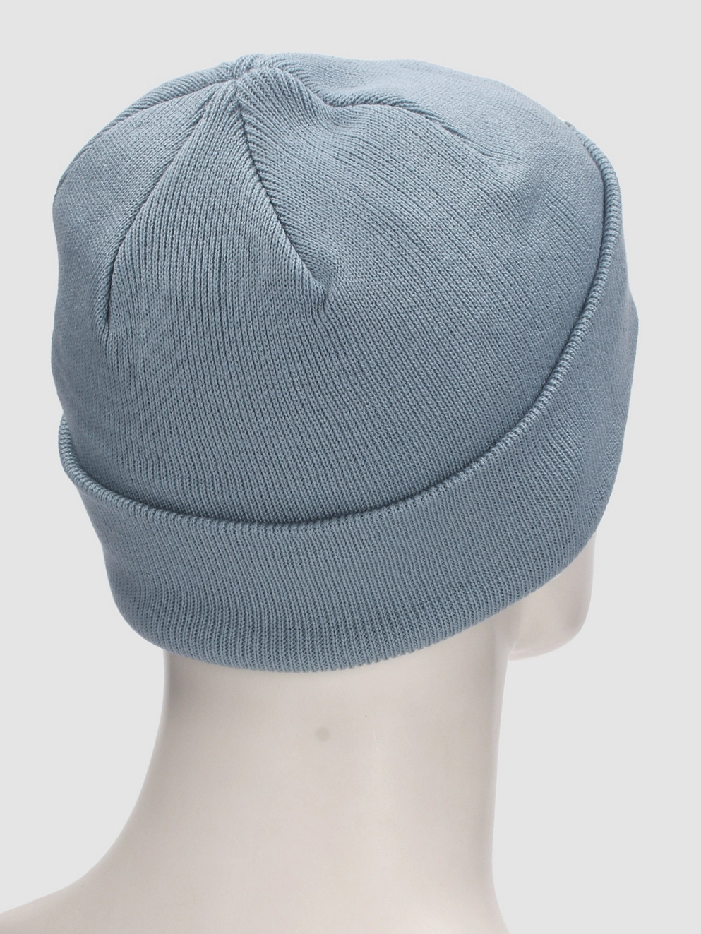 REELL Logo Beanie being blue