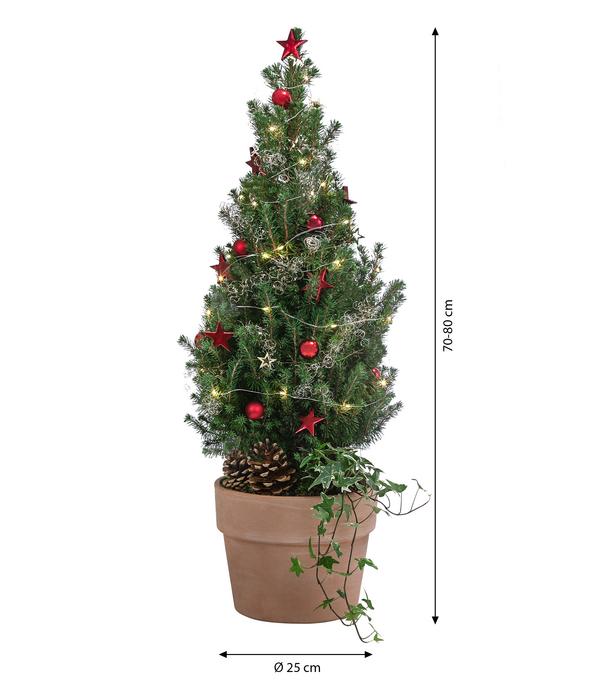 Geschmückter Weihnachtsbaum Terra, mit