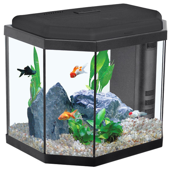 Aquarium Sarawak, noir - 27 litres