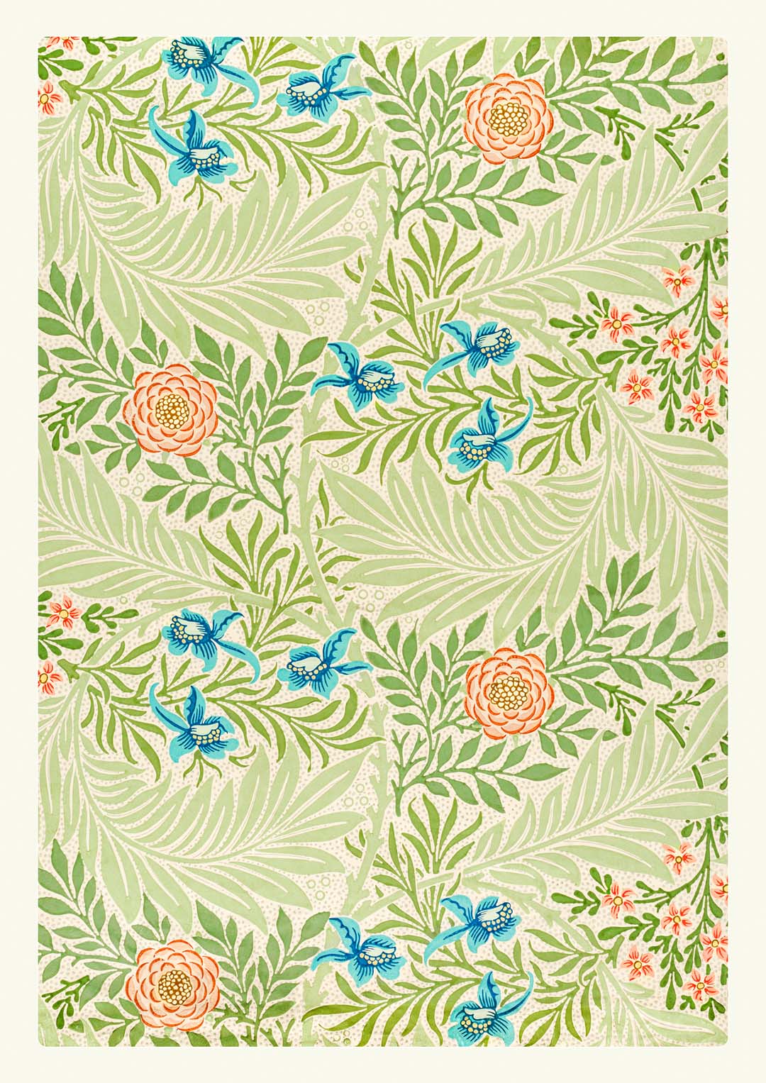 William Morris Rittersporn II