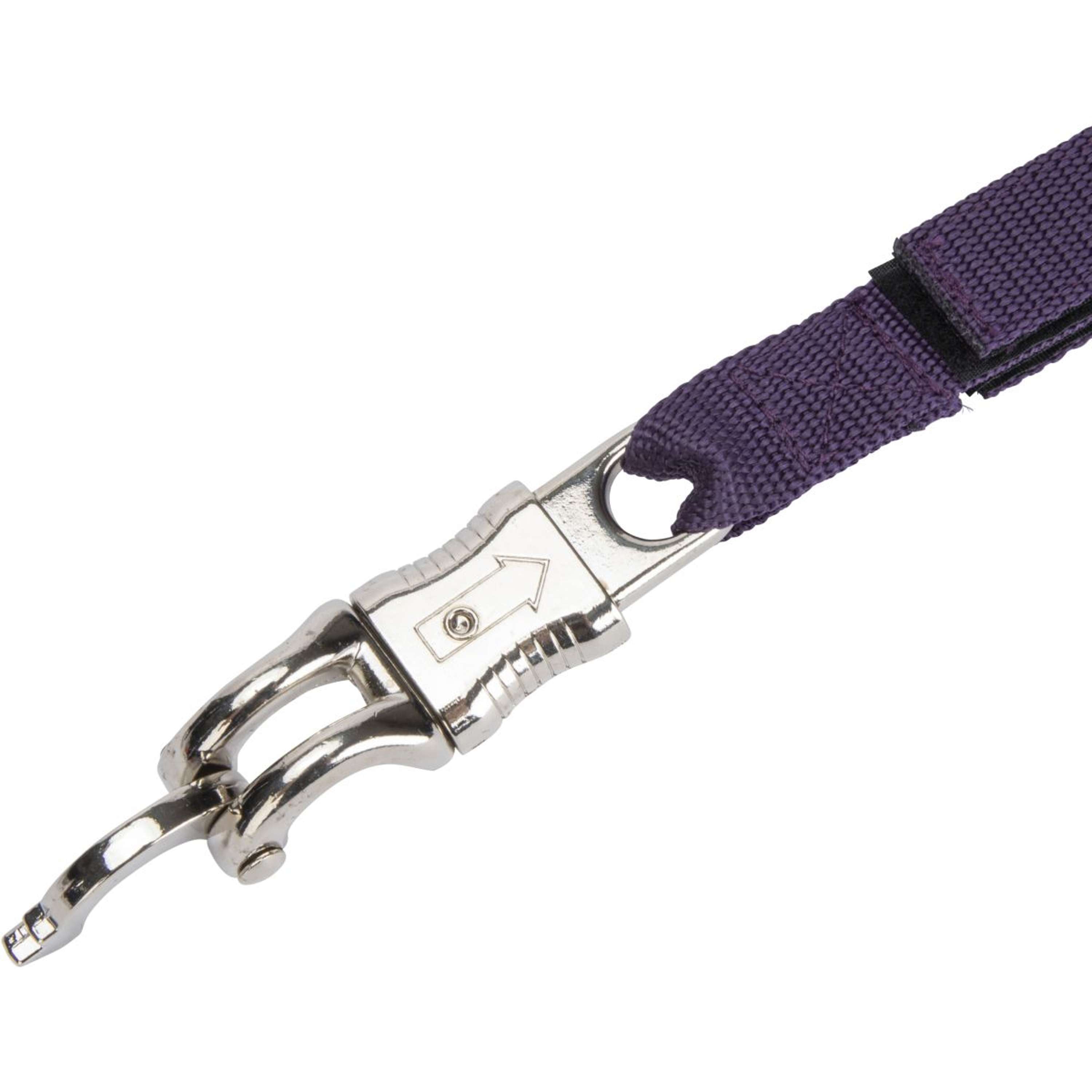 Shires Vastzetlijn Bungee Beakaway Paars
