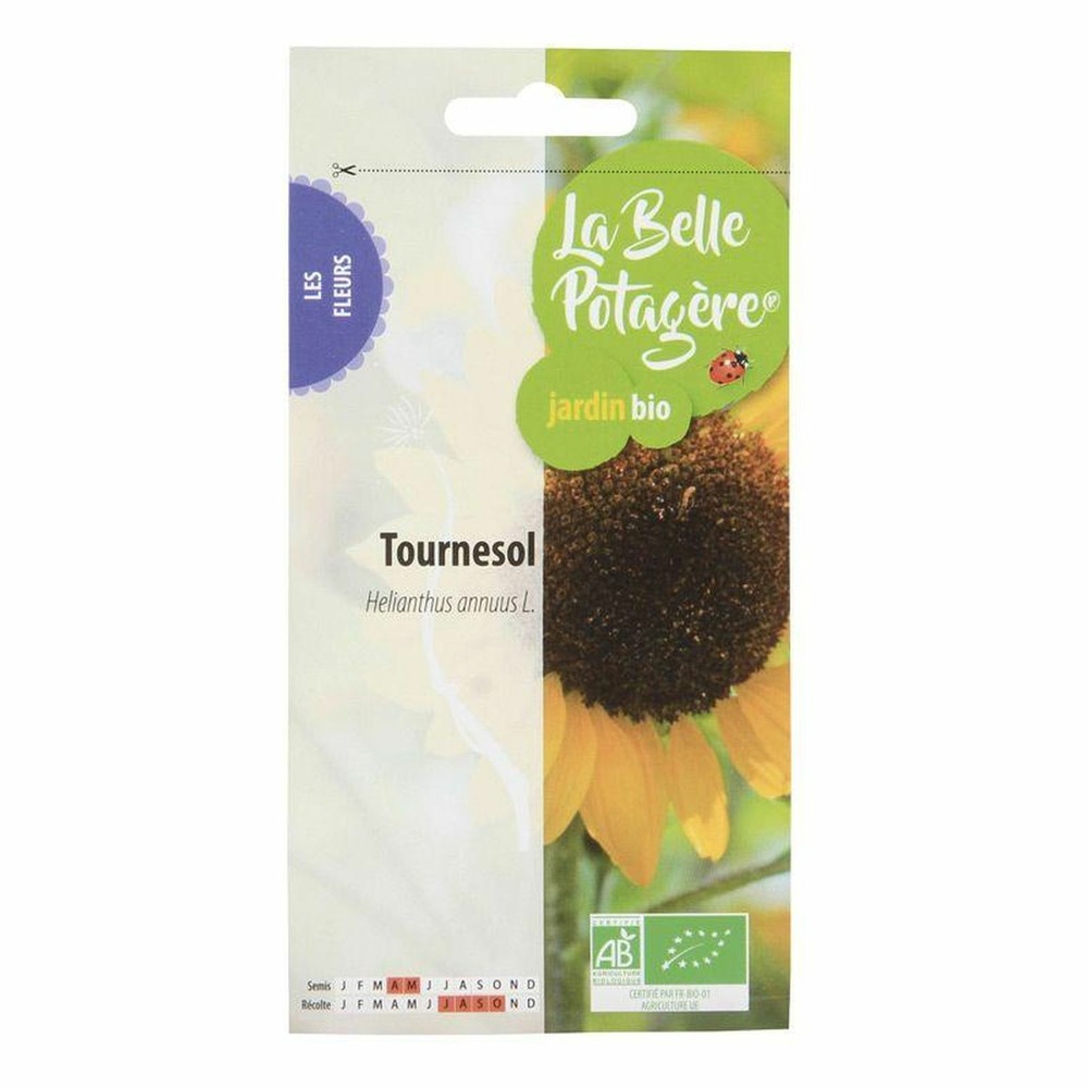 Graines à semer - tournesol - 9 g