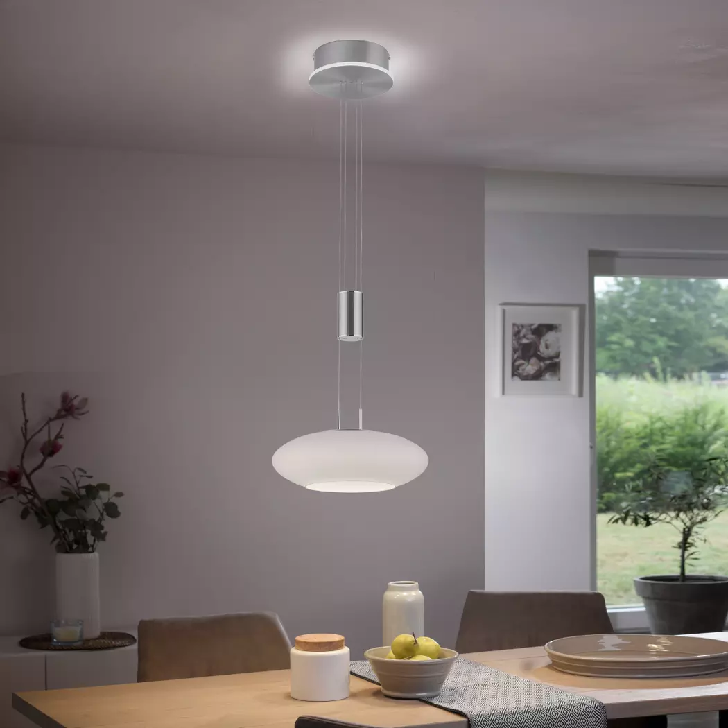 LED-Pendelleuchte Q-Etienne
