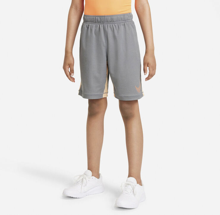 Nike Dri Fit Shorts Grå
