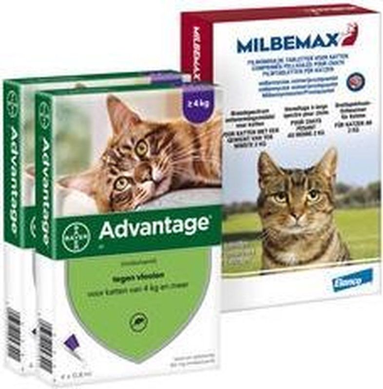 Elanco Preventiepakket Binnenkat 4 - 8 kg - Milbemax + Advantge (ontwormen en tegen vlooien en teken)