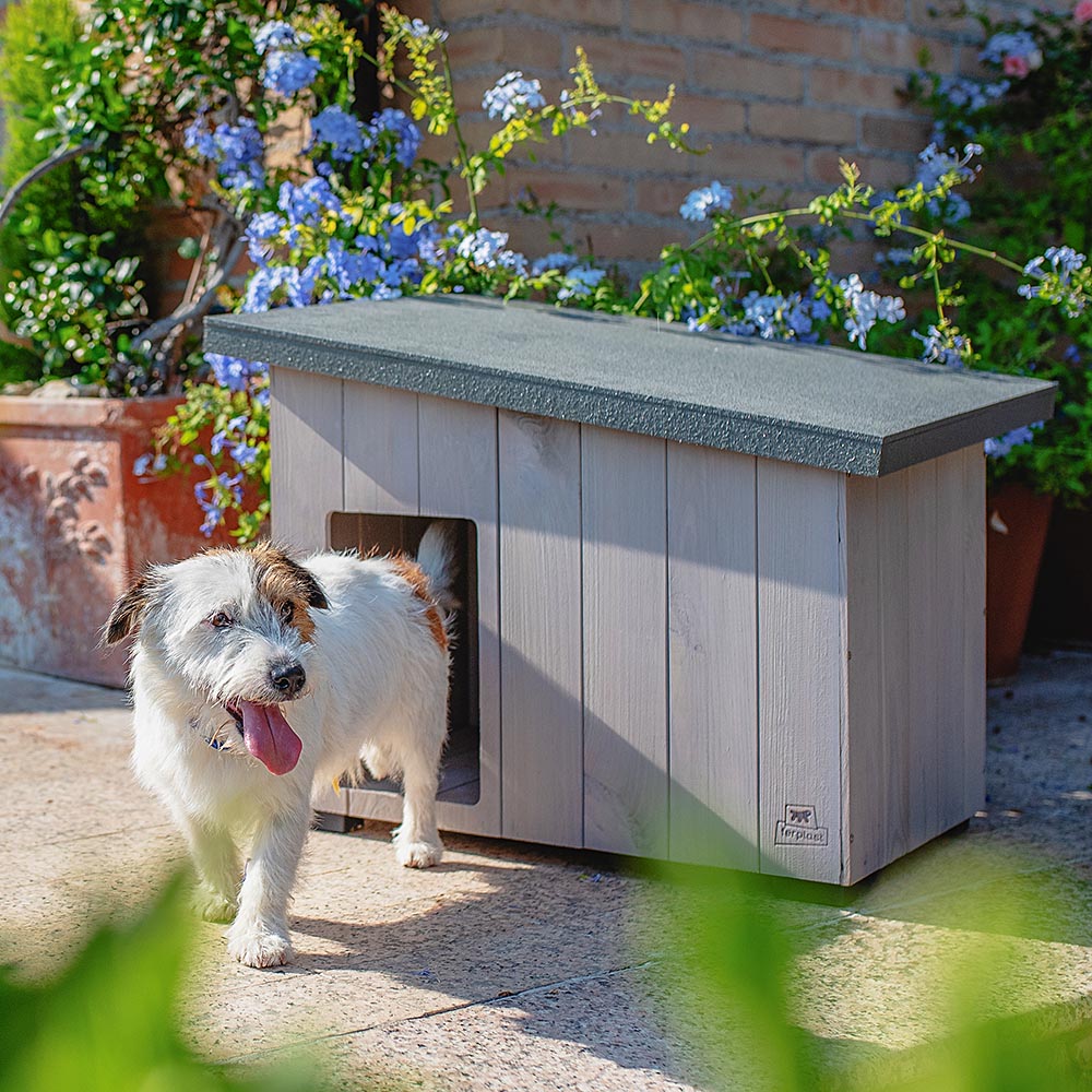 Niche pour extérieur, maison pour chiens argo 60 en bois fsc avec vernis atoxique, résistant aux u.v.