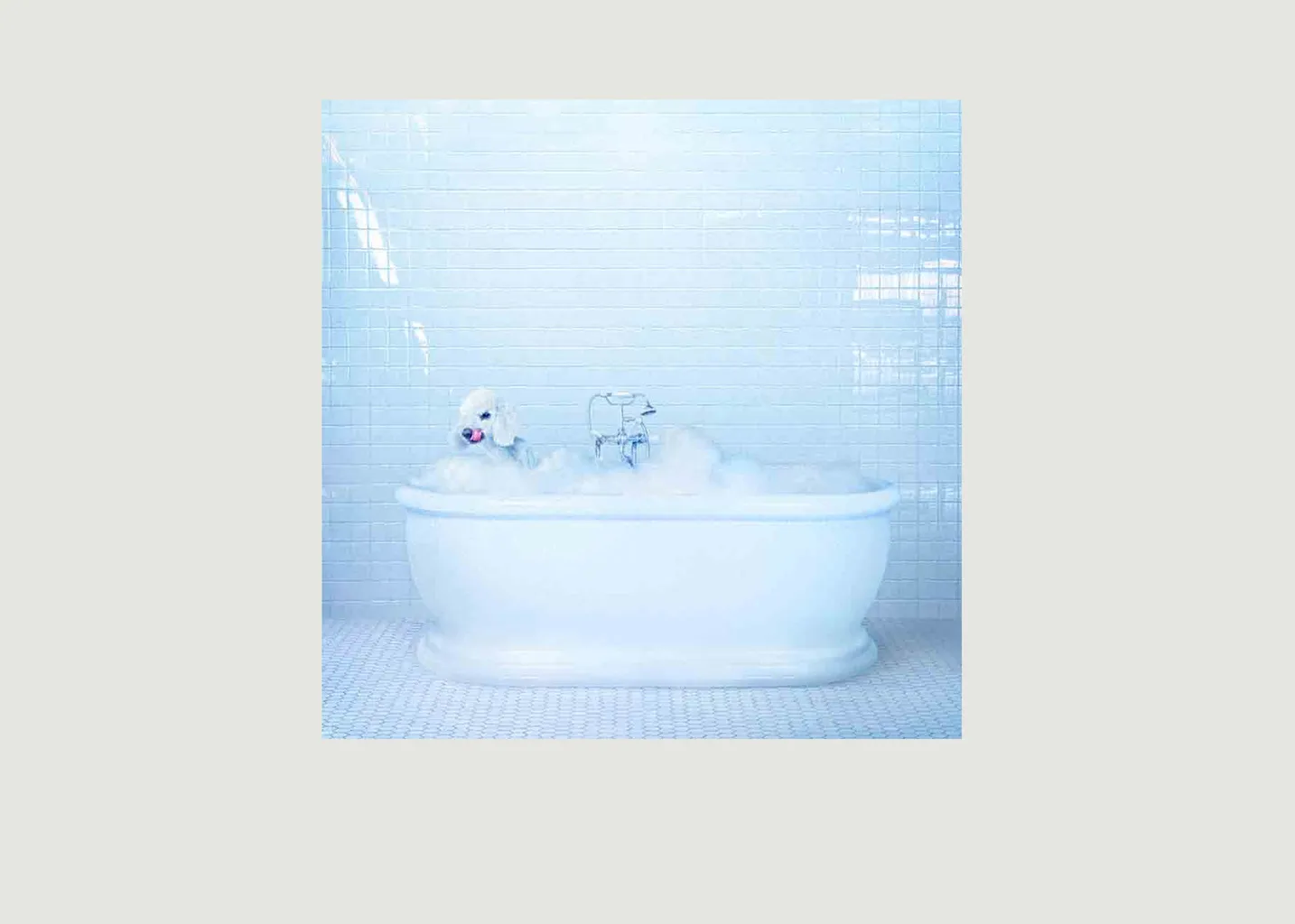 Vessel - Looser Edition - Frankie Cosmos La vinyl-thèque idéale