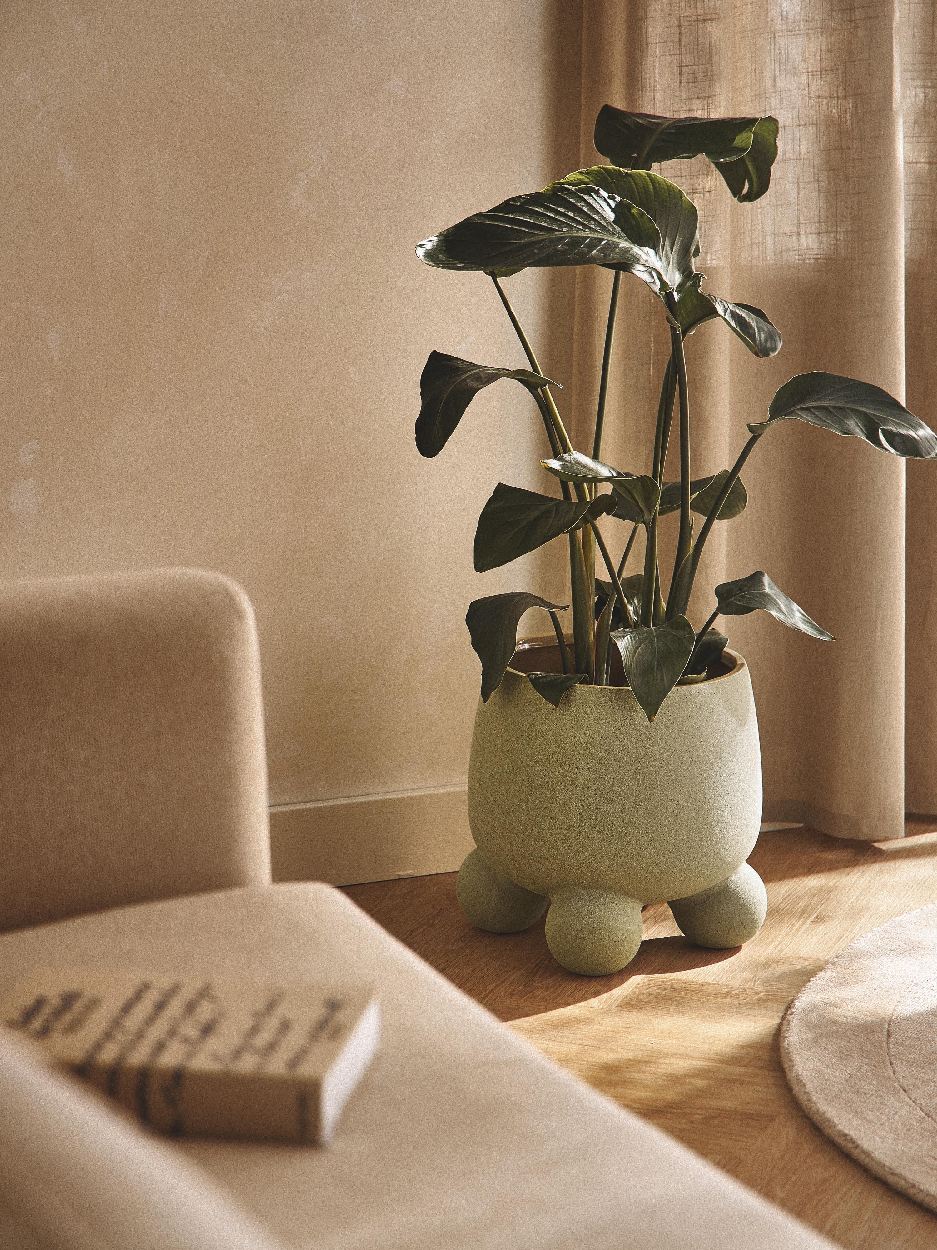 Grote plantenpot Olea, H 32 cm