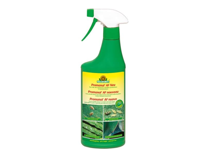 Neudorff Insektizid Promanal AF Neu Schild- & Wolllausfrei, Gebrauchsfertiges Spray zur Bekämpfung von Schildläusen, Palmenthripsen und Spinnmilben
