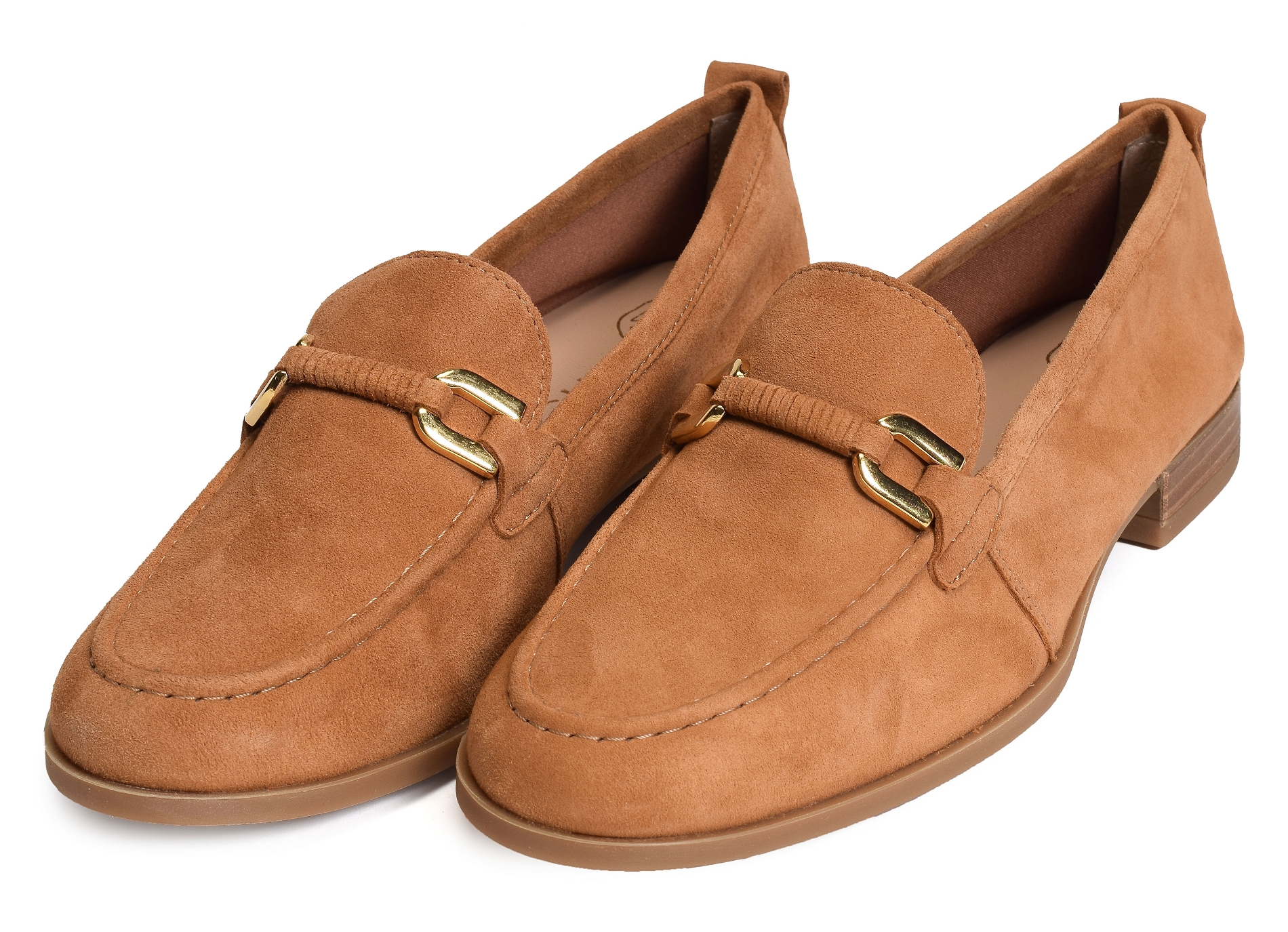Daneri camel