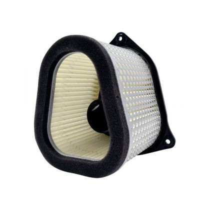 Filtre à air Emgo Type Adaptable