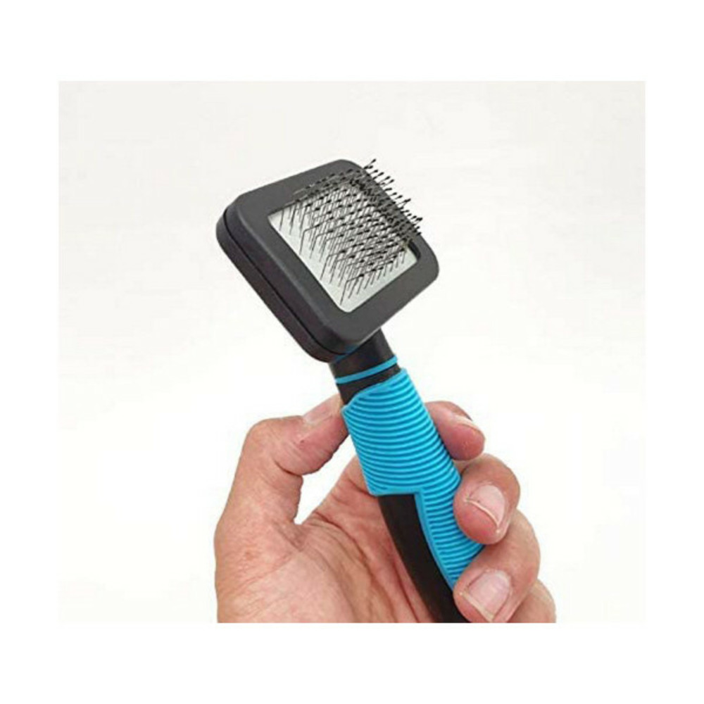 Brosse pour chiens bleu