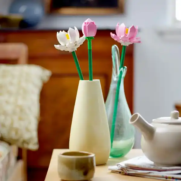40647 Lotusblumen