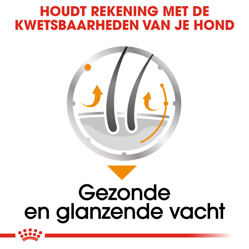 Royal Canin Coat Care Wet - Hondenvoer