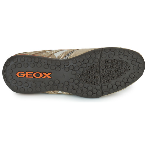 Geox - SNAKE L - Beige