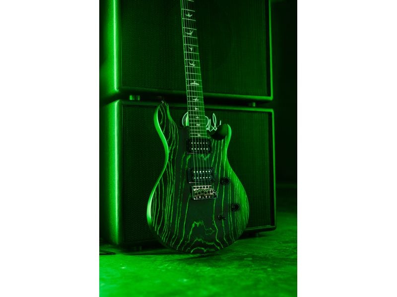 PRS Guitars E-Gitarre SE Swamp Ash CE 24 LTD SGREEN CE 24 Sandgestrahlt in limitierter Auflage