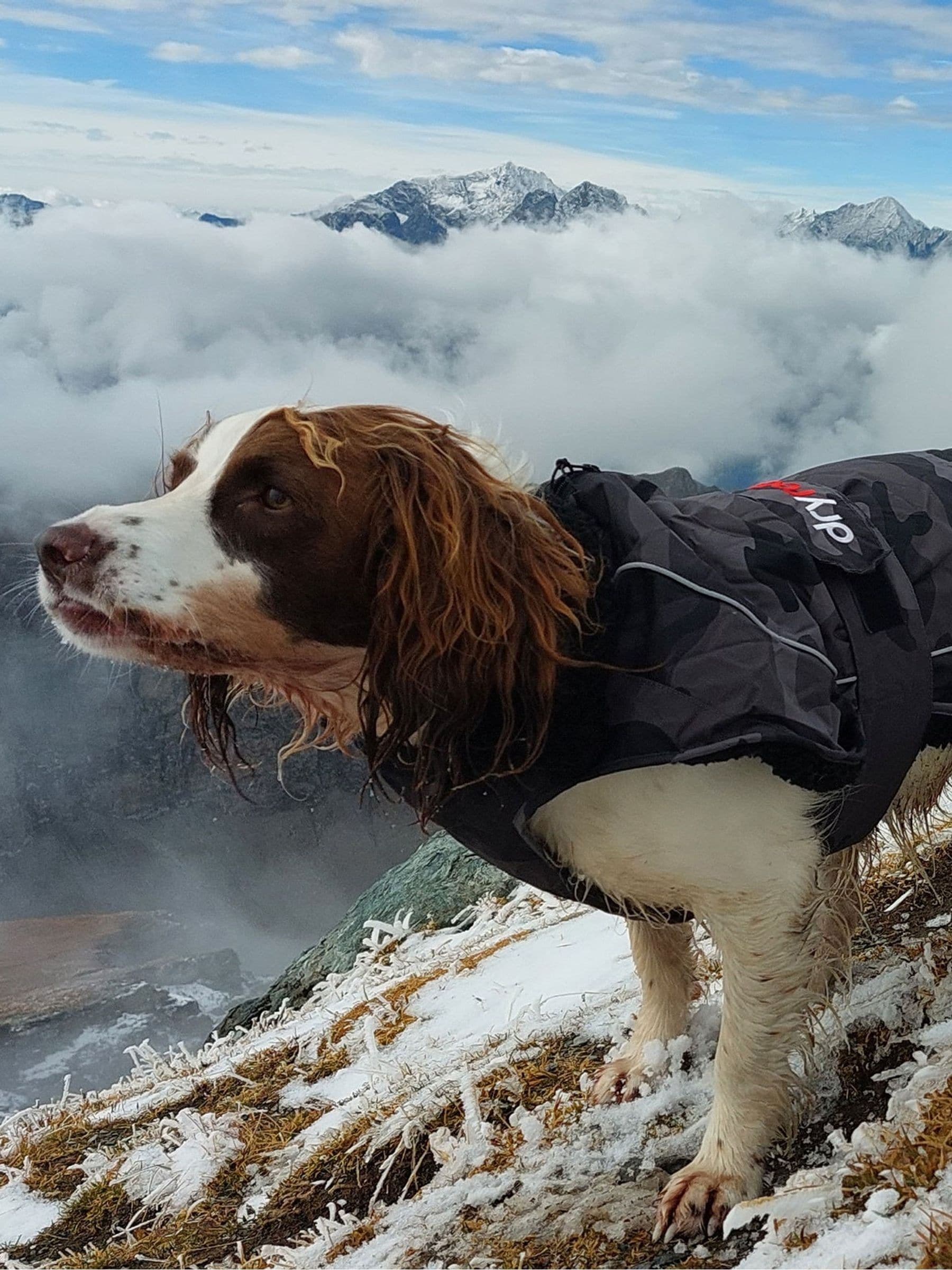 dryrobe Dog Jacket