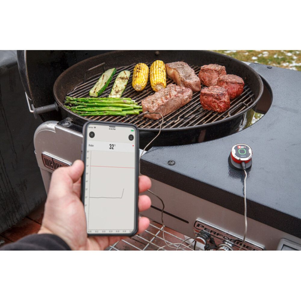 STEKETERMOMETER WEBER IGRILL MINI
