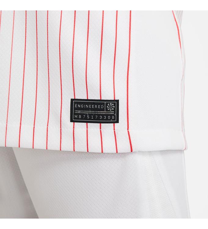Nike JR Frankrijk Uitshirt 2024/2025
