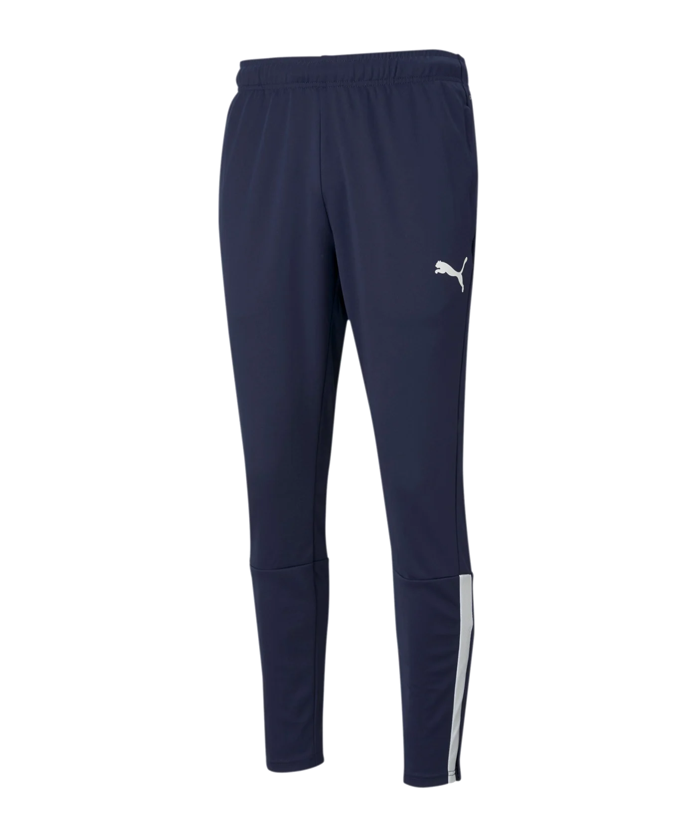 PUMA teamLIGA Trainingshose Blau F06