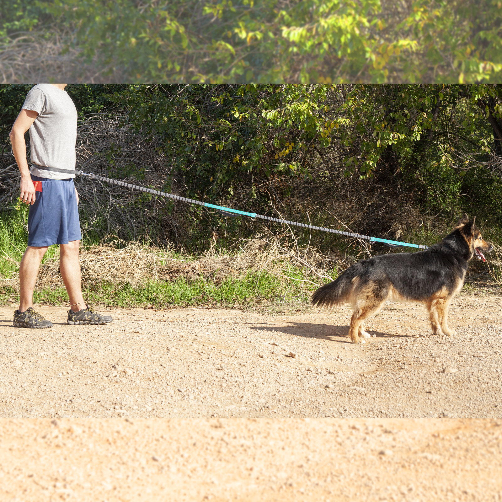 Guia ajustável para cães de corrida, de 160 a 220 cm. Guia elástica, refletora e com cinto para uso com as mãos livres.