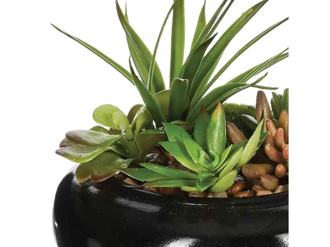 WELL HOME - Composition centre de table composée d'un assortiment de plantes avec un vase en céramique