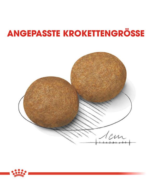 ROYAL CANIN® Trockenfutter für Hunde Medium