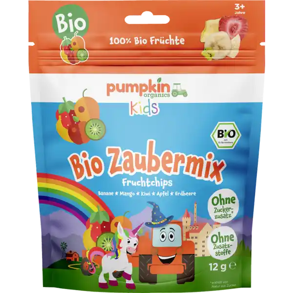 Bio Zaubermix Fruchtchips