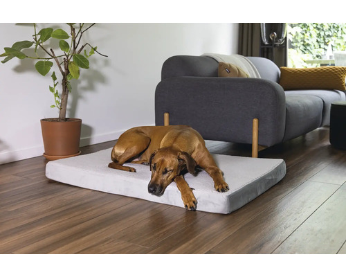 Beeztees Orthopedisch Hondenkussen Zira 100 x 70 cm Lichtgrijs