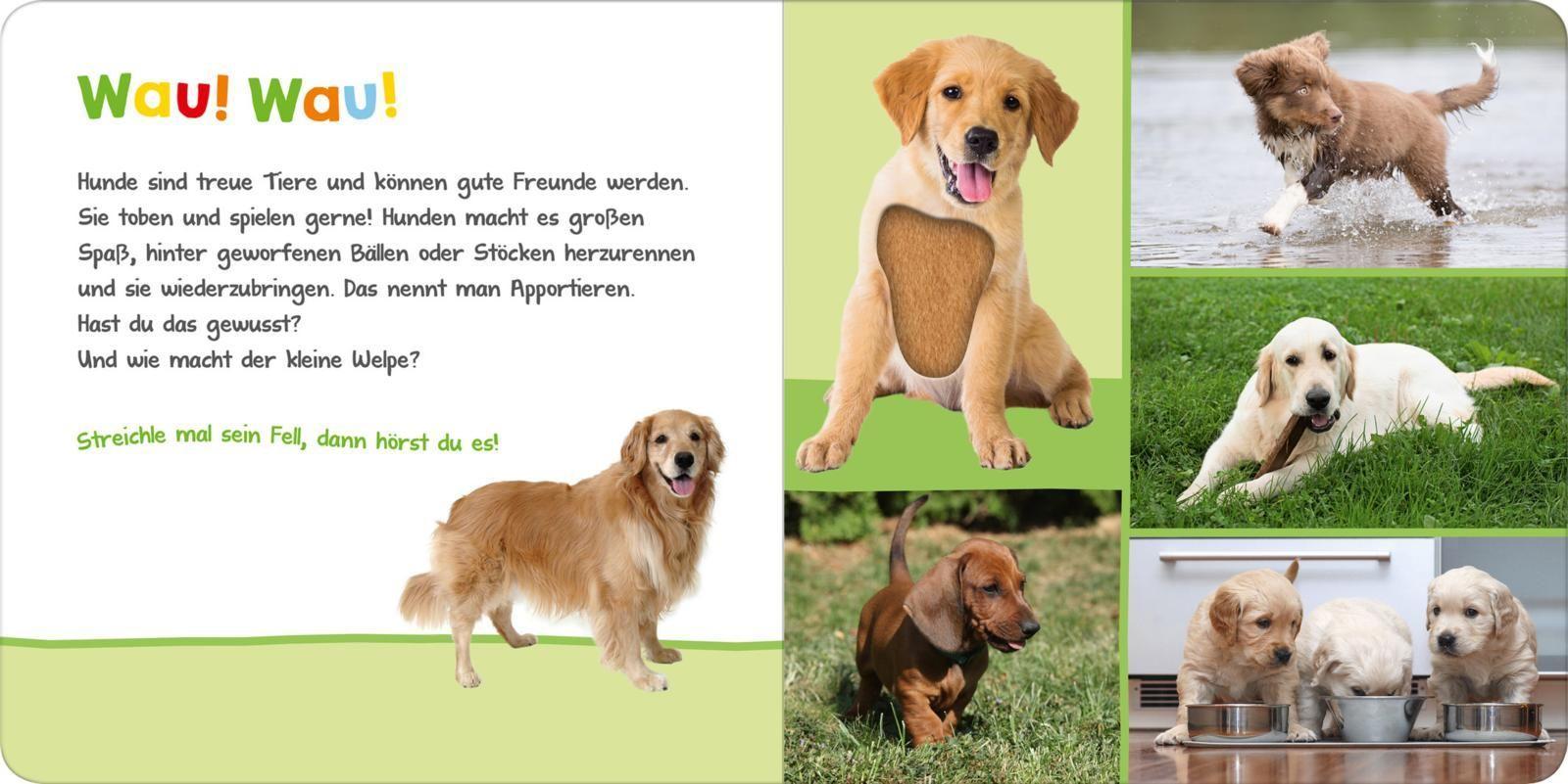 Hör mal rein, wer kann das sein? - Haustiere