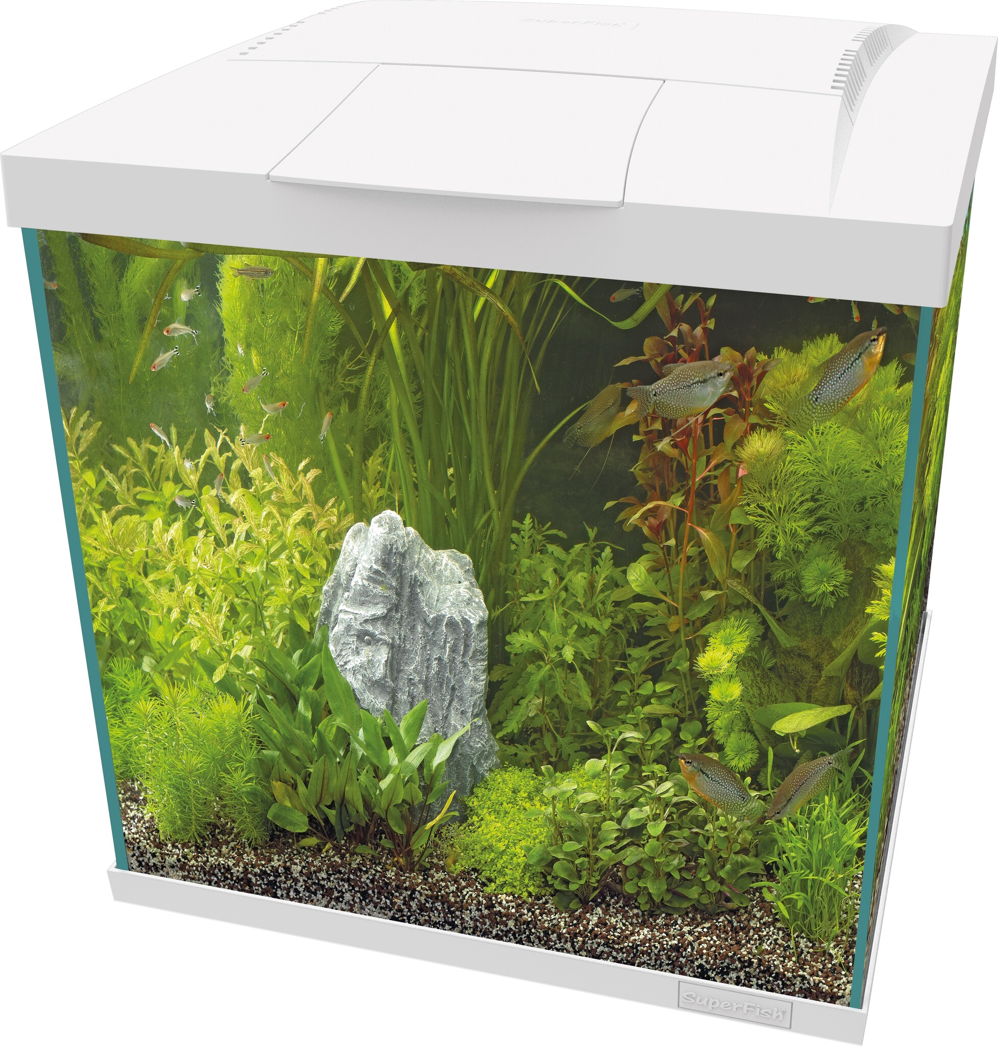 Start 60 Qube Kit Wit