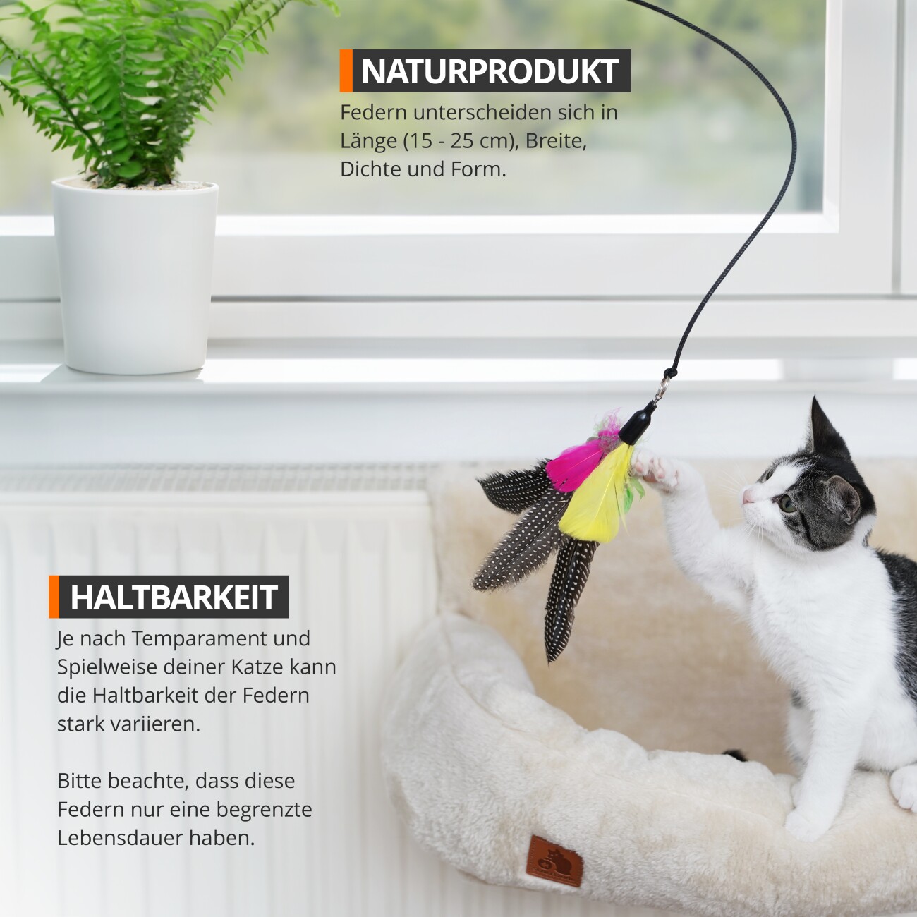 Schlitzohr Katzenangel Federanhänger 5x