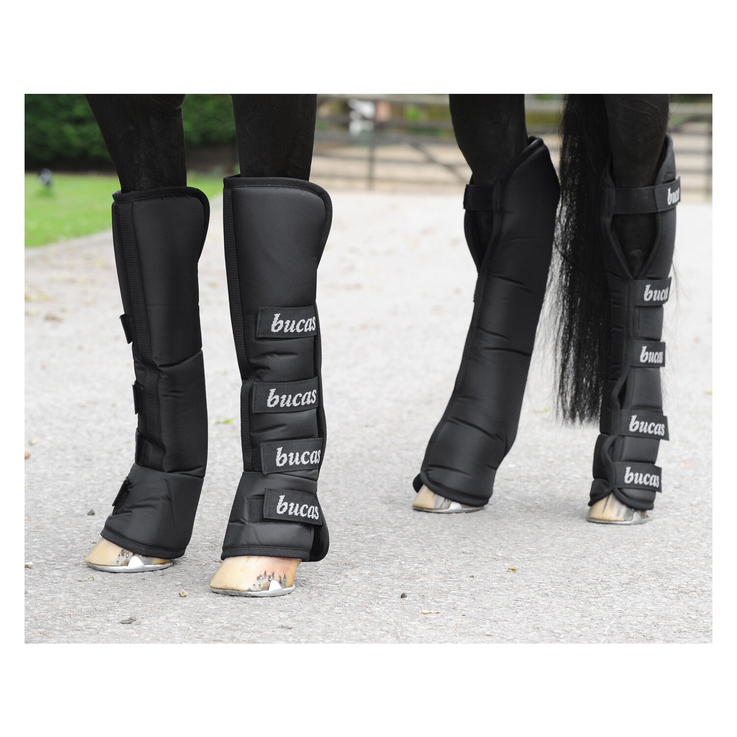 bucas Transportgamaschen-Set 2020 Boots für Vorder- und Hinterbeine  - black