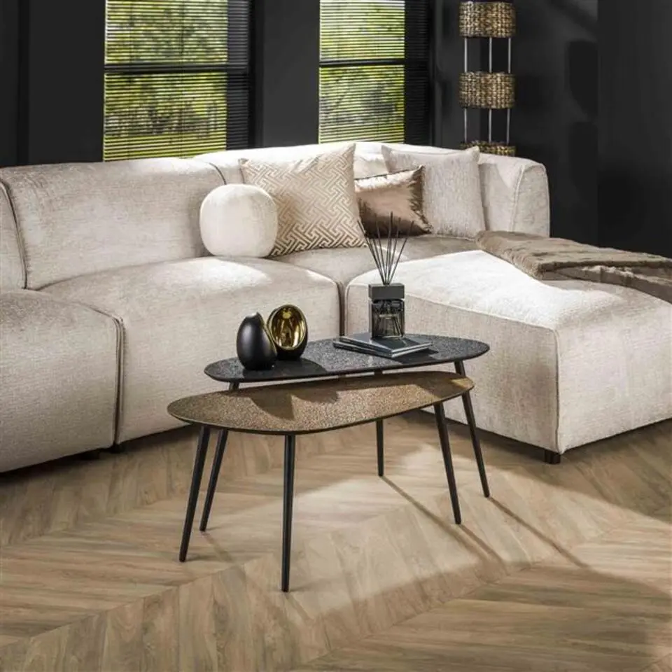 Hoyz - Salontafel Metallic Niervormig - Grijs - Set van 2