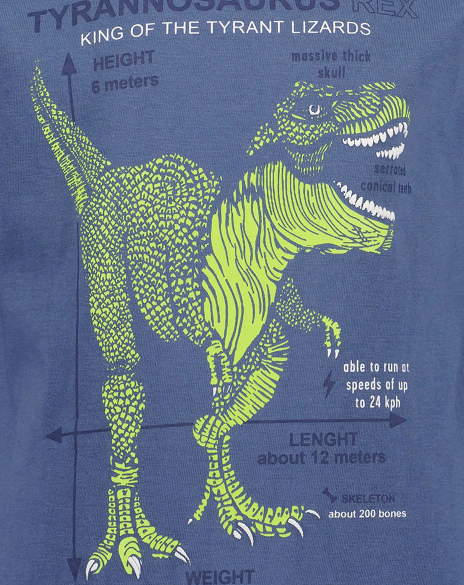 Langarmshirt TYRANT LIZARD in jeansblau
