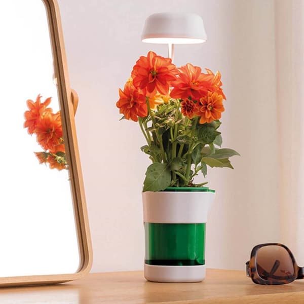 LED-plantelampe med selvvanningspotte - Fullspektret plantebelysning