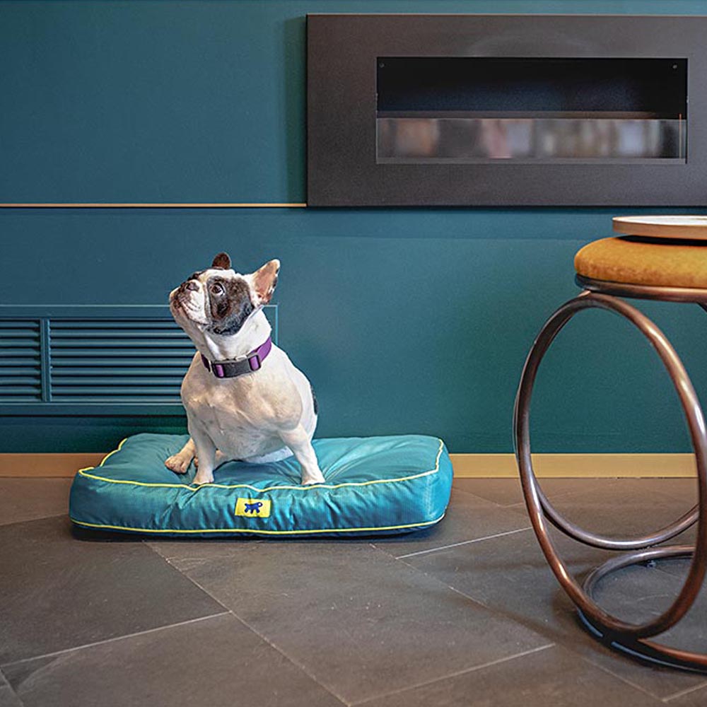 Ferplast panier chien chat - coussin orthopédique chien - lavable en machine - tapis chien - lit chat chien - imperméable &