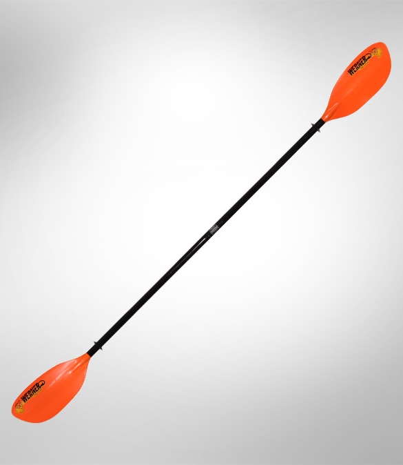 Werner Tybee FG