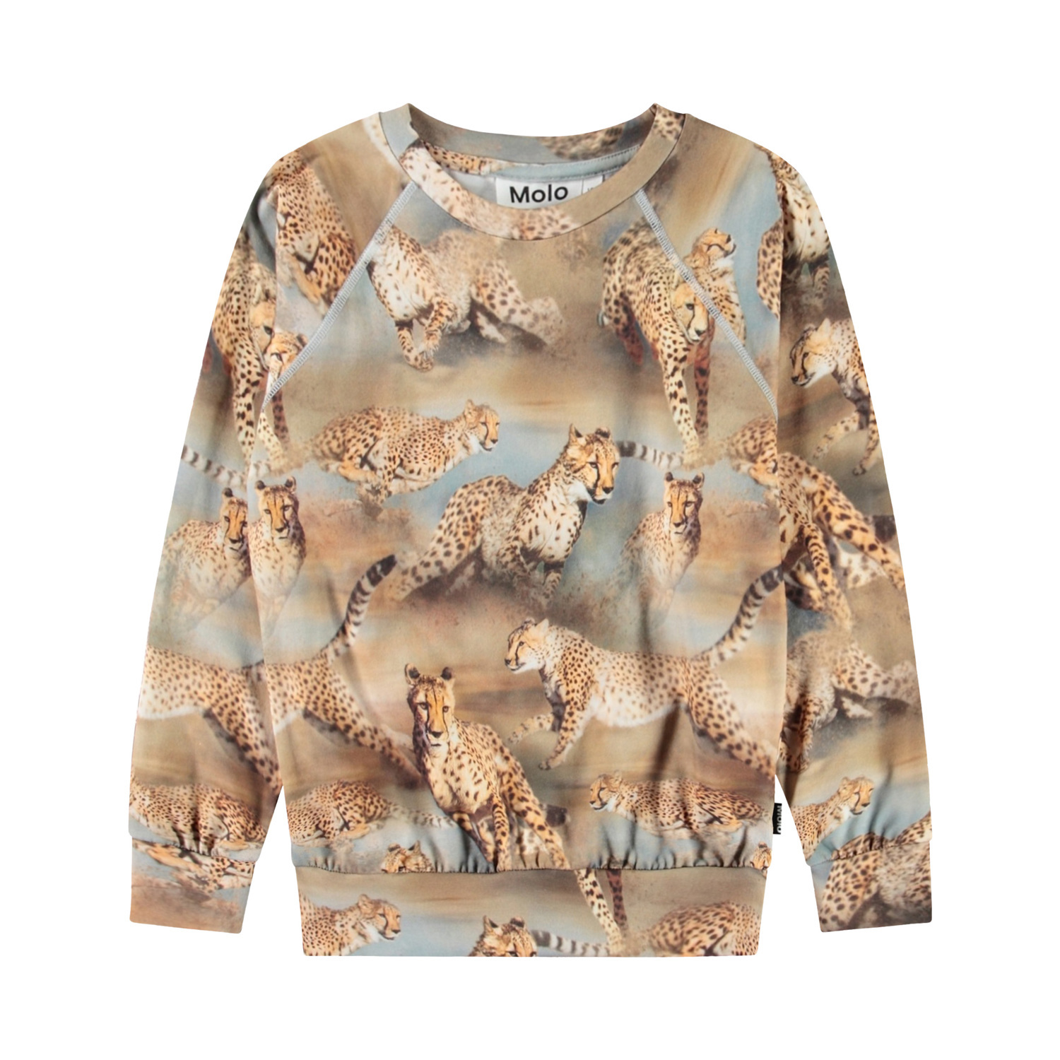 Romeo - Fast Cheetahs