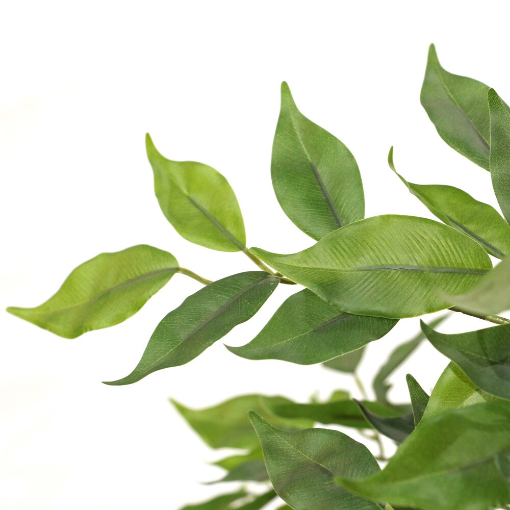 Kunstpflanze FICUS I Kunststoff, Stoff hjh OFFICE
