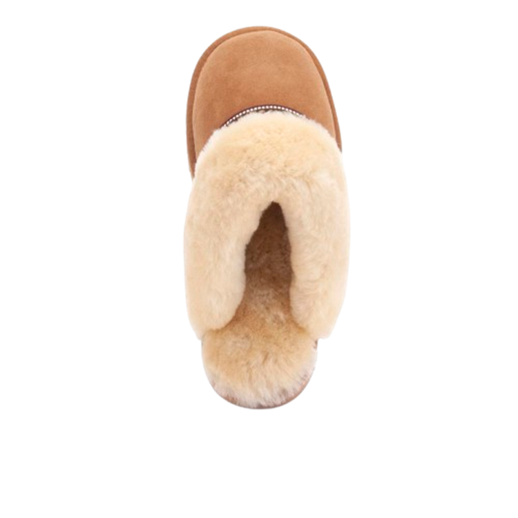 Warmbat Flurry Women suede Tape Cognac [25 Cognac]