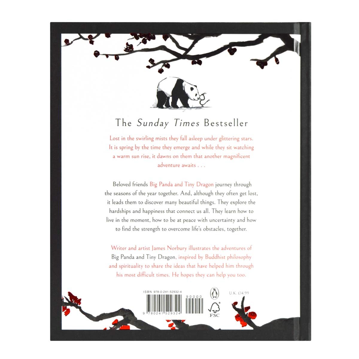 Big Panda and Tiny Dragon (Hardback)