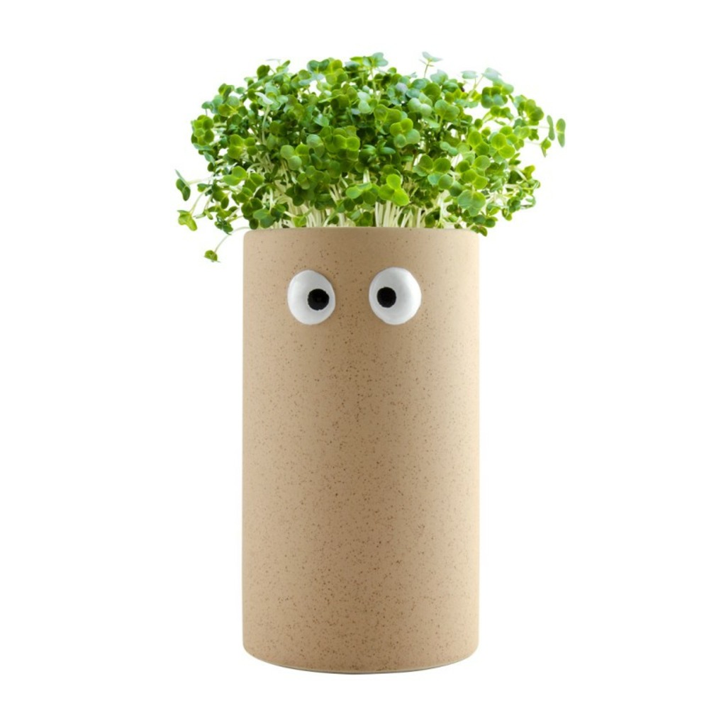 Pot yeux 