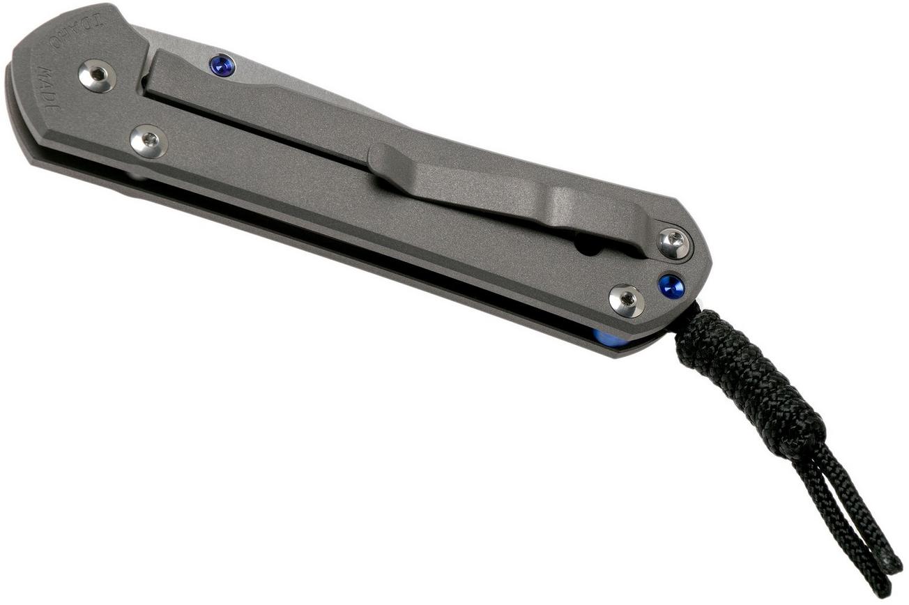 Chris Reeve Sebenza 31 Large Plain L31-1000 zakmes