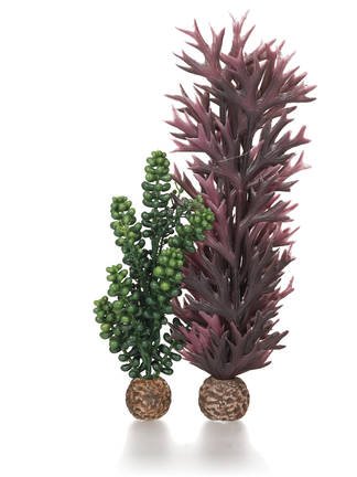 biOrb Zeeparels en Zeewier - Olijfgroen
