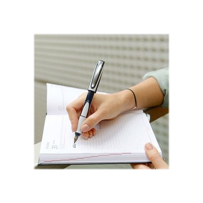 Schneider Ray - Stylo plume - gris/noir