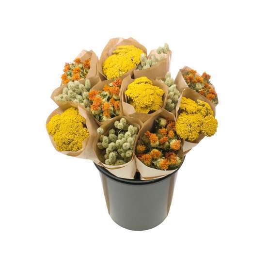 Botte de fleurs séchées mix jaune et vert